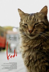 ‘Kedi’ gives us paws for reflection