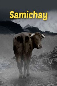 'Samichay: In Search of Happiness" ("Samichay")