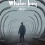'The Whaler Boy' ('Kitoboy')