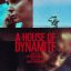 'A House of Dynamite'