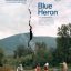'Blue Heron'
