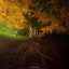 'Silent Friend' ('Stille Freundin')